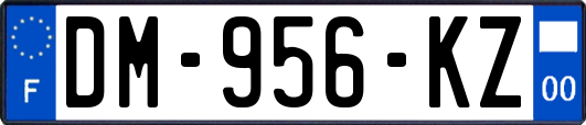 DM-956-KZ