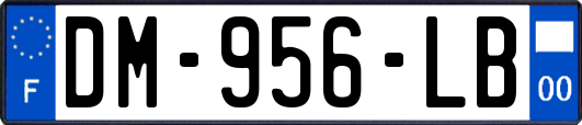 DM-956-LB