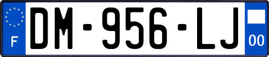 DM-956-LJ