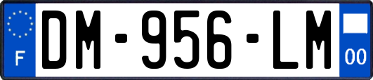 DM-956-LM
