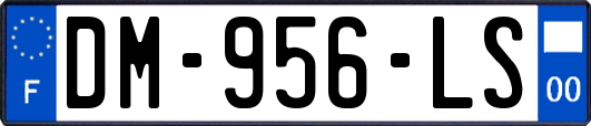 DM-956-LS