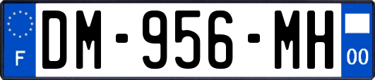 DM-956-MH