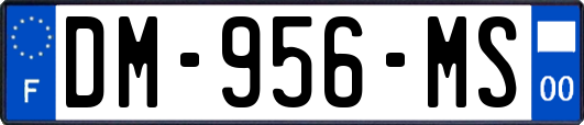 DM-956-MS