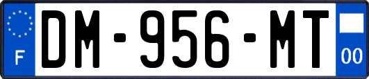 DM-956-MT