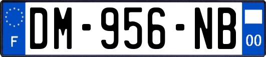 DM-956-NB