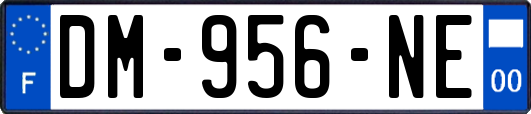 DM-956-NE