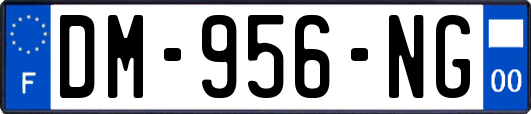 DM-956-NG