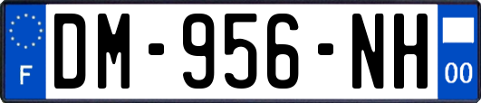 DM-956-NH