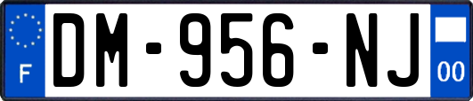 DM-956-NJ