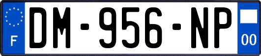 DM-956-NP