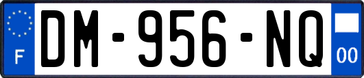 DM-956-NQ