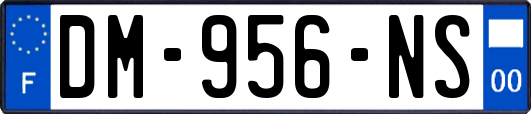 DM-956-NS