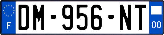DM-956-NT