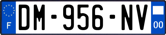 DM-956-NV