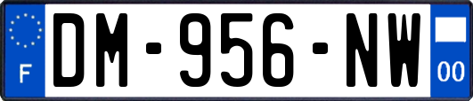 DM-956-NW