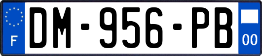 DM-956-PB
