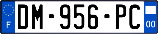 DM-956-PC