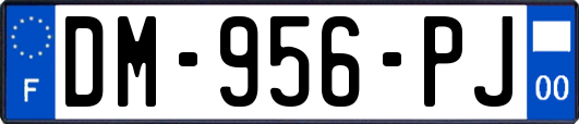 DM-956-PJ