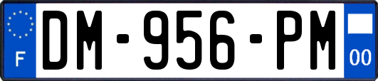 DM-956-PM