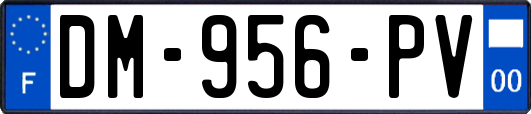 DM-956-PV