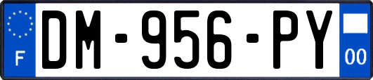 DM-956-PY