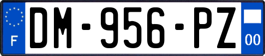 DM-956-PZ