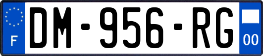 DM-956-RG