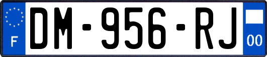 DM-956-RJ