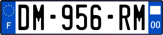 DM-956-RM