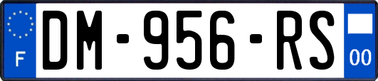 DM-956-RS
