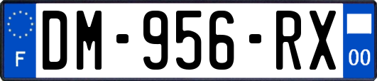 DM-956-RX