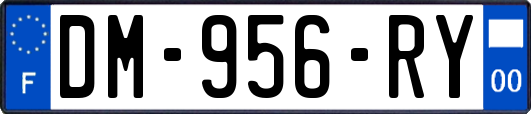 DM-956-RY