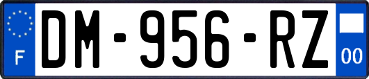 DM-956-RZ