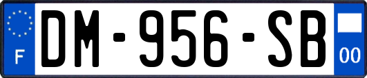 DM-956-SB