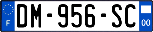 DM-956-SC