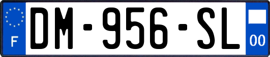 DM-956-SL