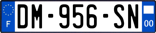 DM-956-SN