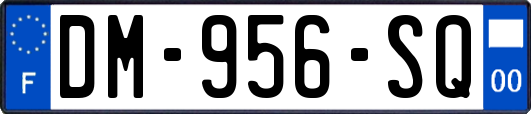 DM-956-SQ