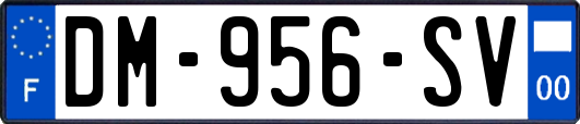 DM-956-SV