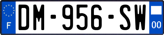 DM-956-SW