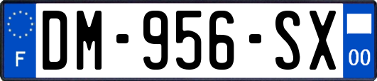 DM-956-SX