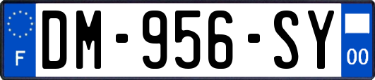 DM-956-SY