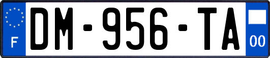 DM-956-TA