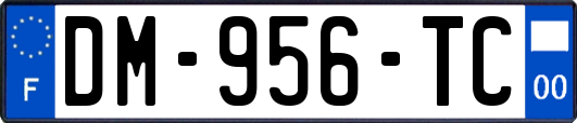 DM-956-TC