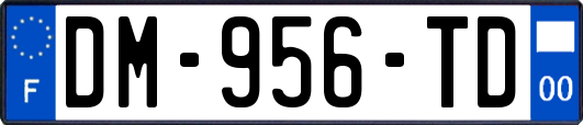 DM-956-TD