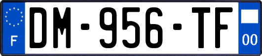 DM-956-TF