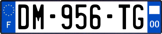 DM-956-TG