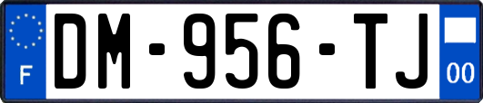DM-956-TJ