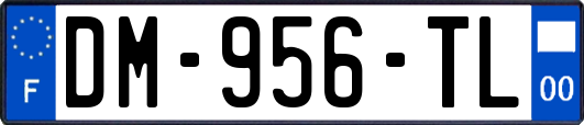 DM-956-TL