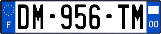 DM-956-TM